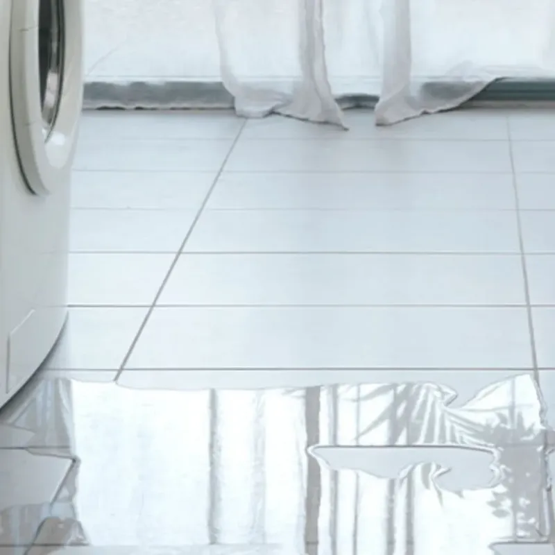 Appliance Leak Cleanup in Paris, AR