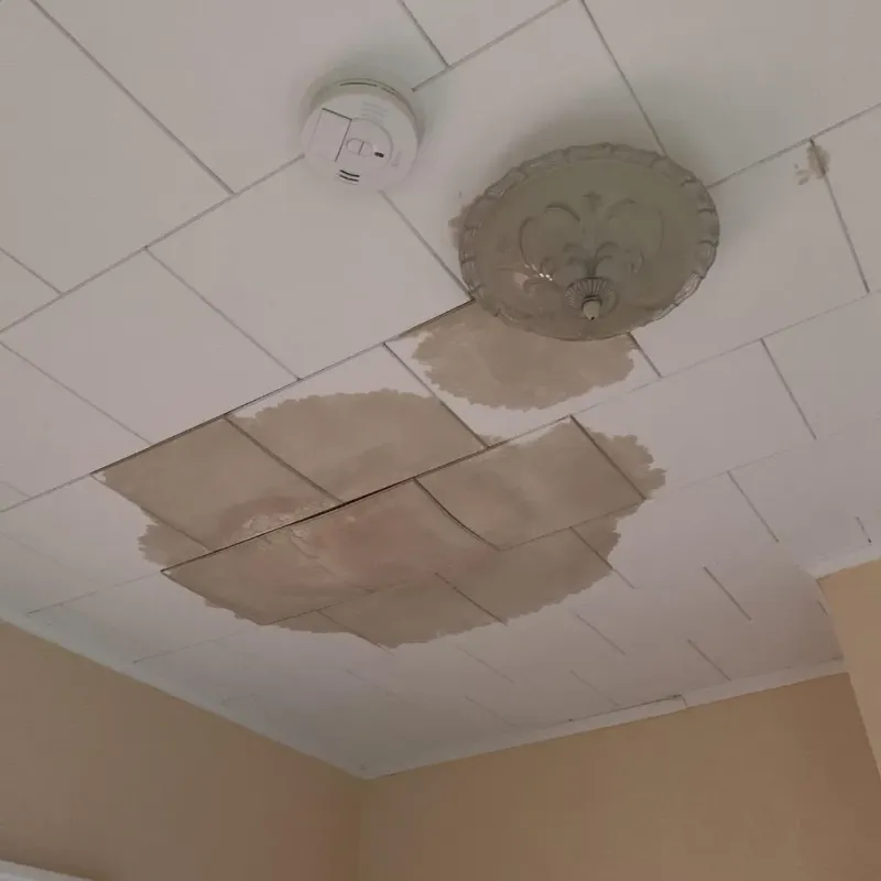 Ceiling Water Damage Repair in Paris, AR