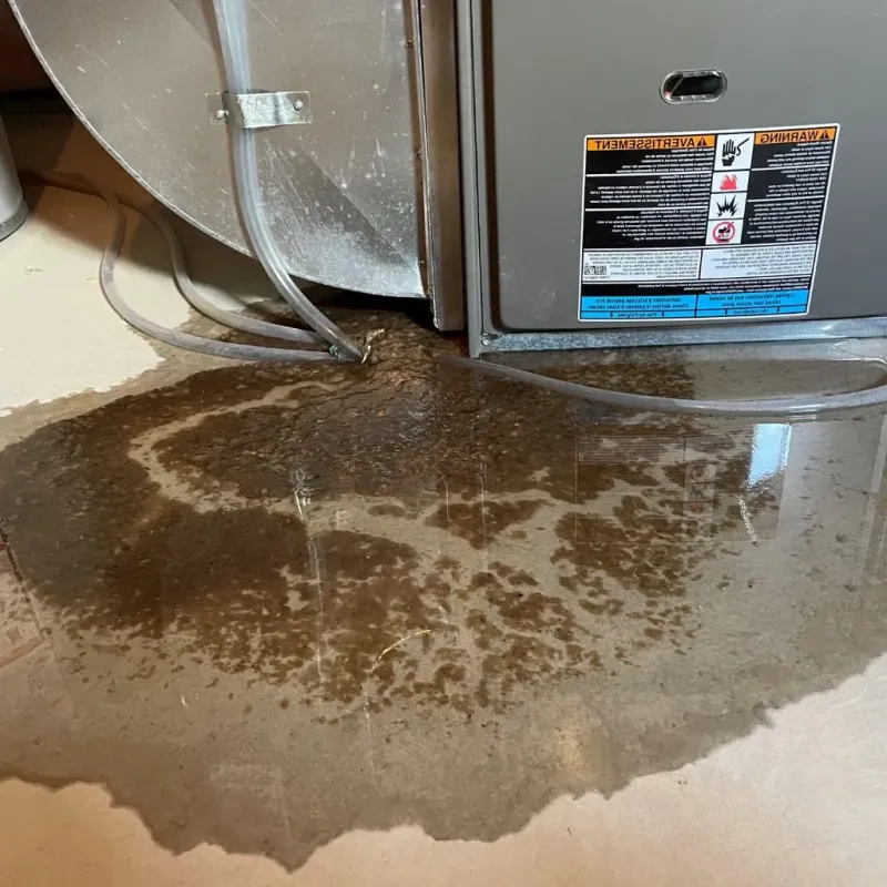 Pipe Burst and Leak Restoration in Paris, AR