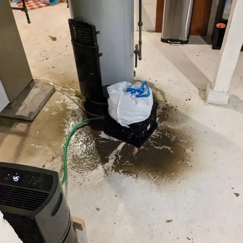 Sewage Backup Cleanup Service in Paris, AR